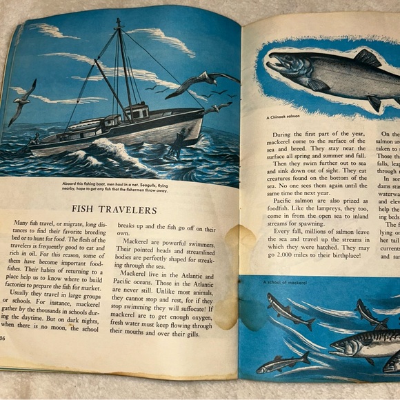 Vintage 1973 Golden Press Exploring Earth Oceanography Book, Paperback - Picture 9 of 14